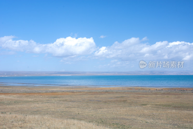 秋天晴朗的青海湖高原牧场自然风光