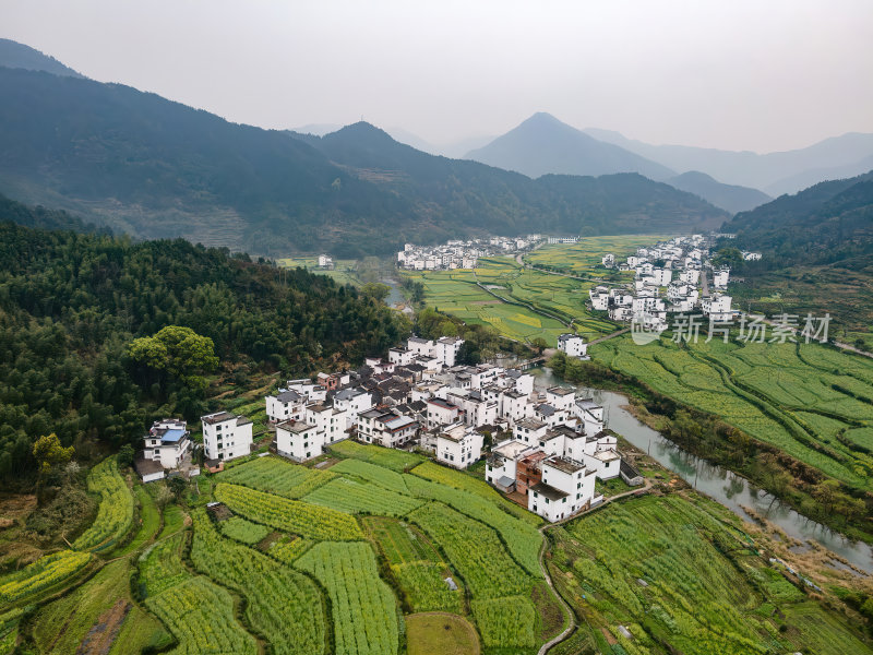 安徽江岭油菜花山谷梯田白墙徽派建筑群航拍