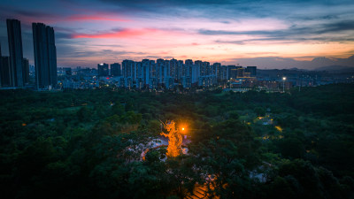 深圳坪山区聚龙山公园