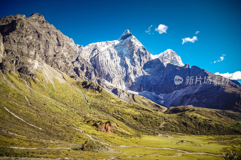 稻城亚丁宏伟雪山风景