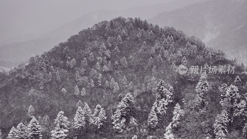 秦岭雪景