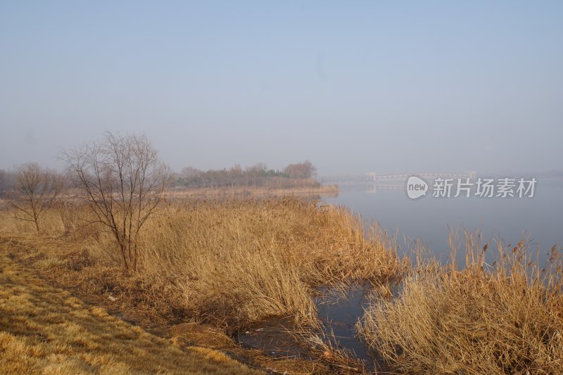 广利河湿地公园冬景