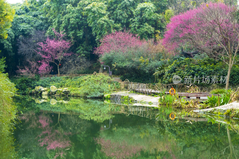 春天成都浣花溪公园