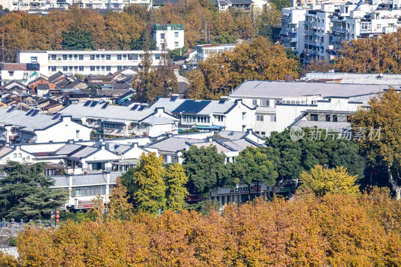 南京城市建筑与自然景观融合全景