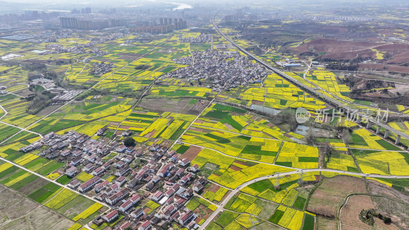 航拍汉中市洋县油菜花田乡村振兴