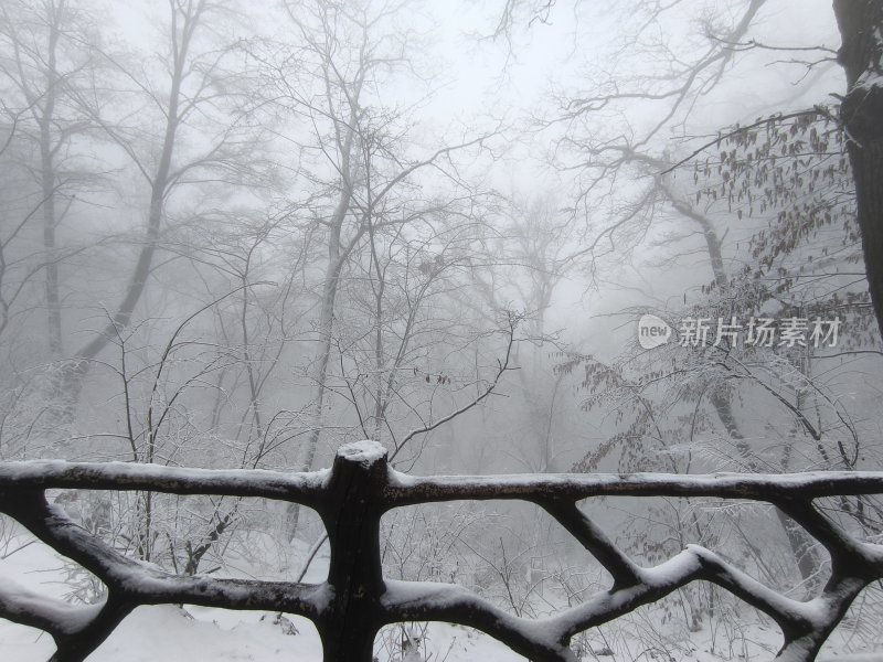 秦岭南五台山雪景雾凇