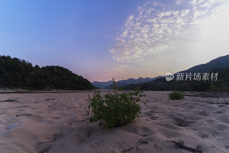 空旷沙地中的绿色植物与远山天空景致