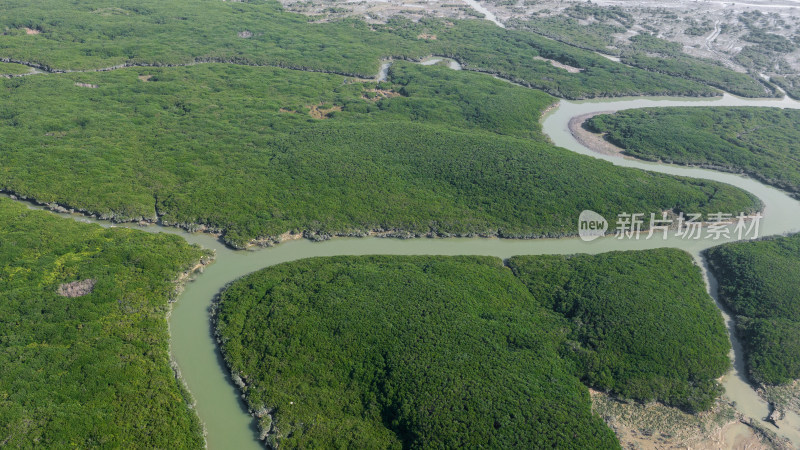 福建云霄县漳江口红树林风光