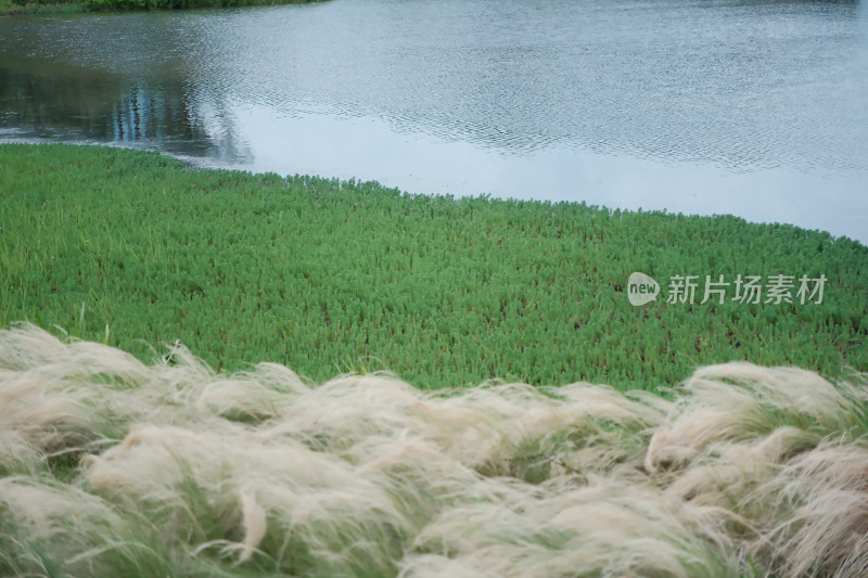 成都夏天休闲生活咖啡鲜花东郊记忆文殊院