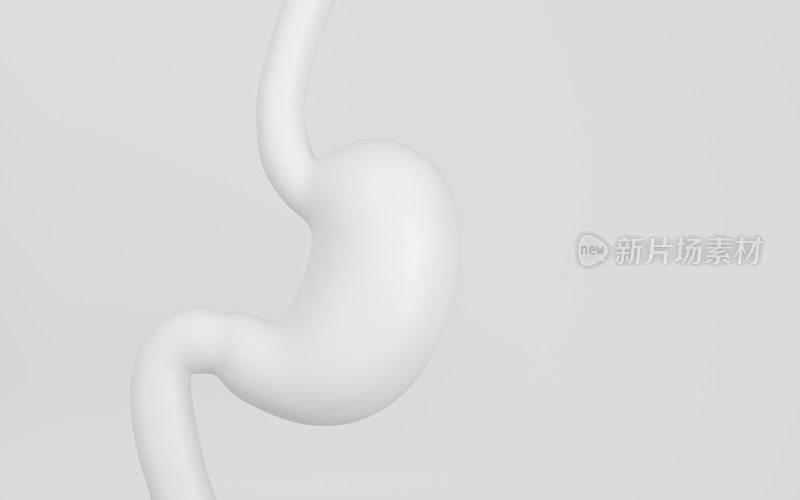胃和消化道 3D渲染