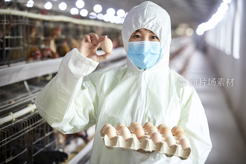 身穿防护服展示油鸡蛋的女性饲养员
