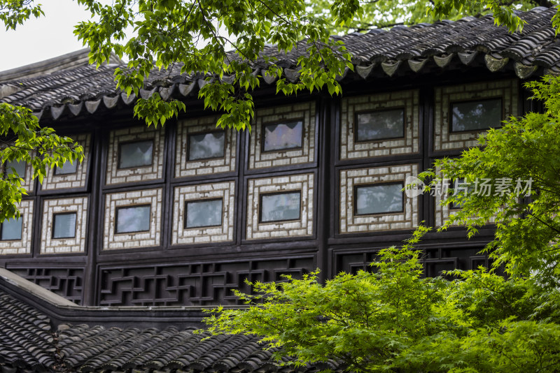 苏州园林拙政园春日美景