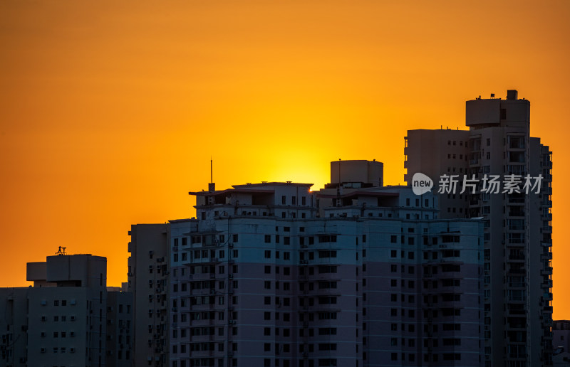 黄昏夕阳青岛小麦岛公园自然风光与城市景观