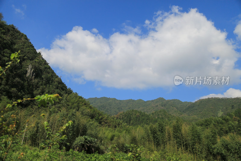 蓝天白云美丽高山森林