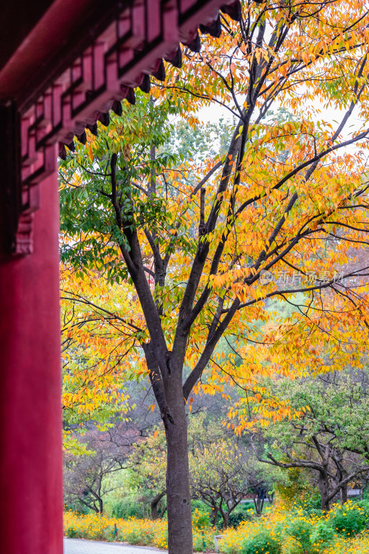 南京钟山风景名胜区明孝陵风景