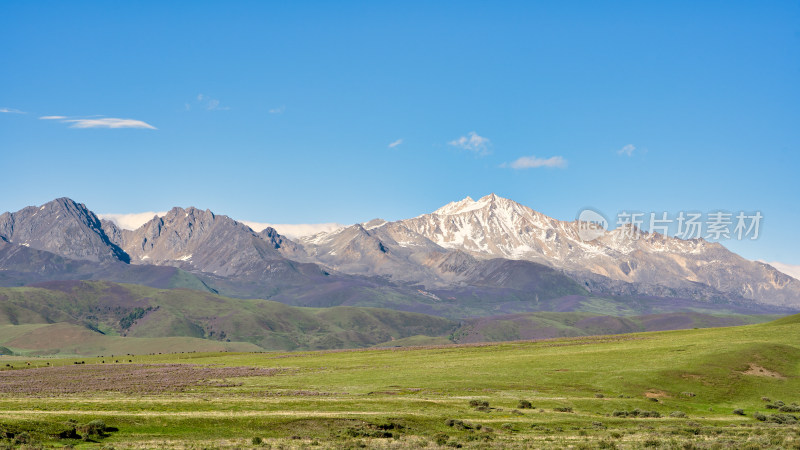 四川甘孜康定塔公草原看到的雅拉雪山