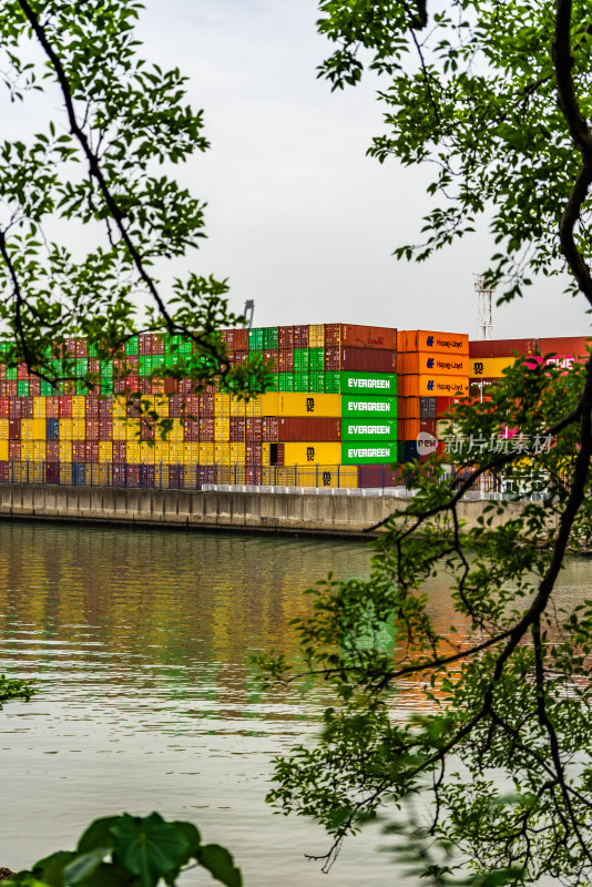 绿树掩映的深圳盐田国际集装箱码头