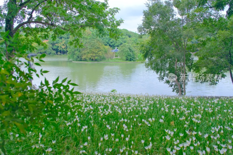 芜湖神山公园