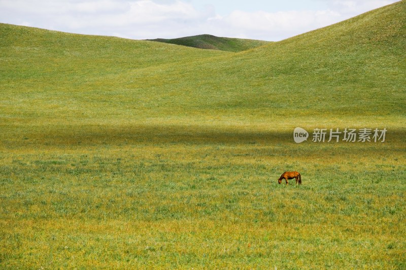 内蒙,坝上,乌兰木统,乌兰木统草原,红山,军马场,草原,草地,