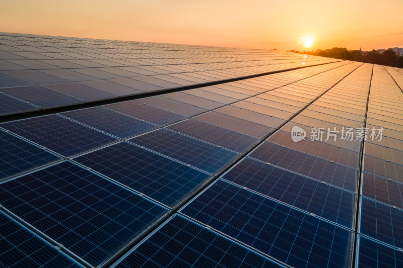 夕阳下的太阳能电池板阵列