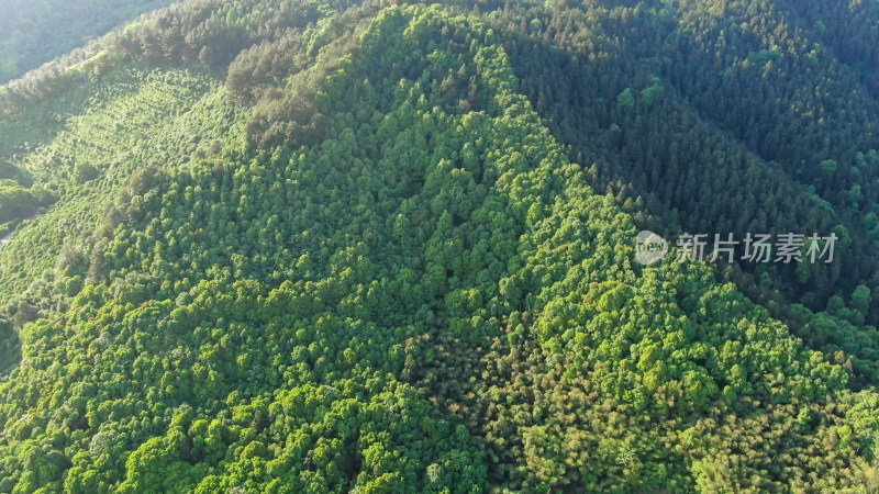 青山绿水