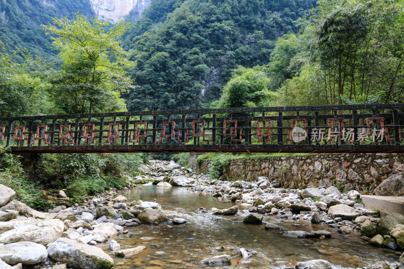 湖北宜昌三峡竹海风景区，自然风光，竹海