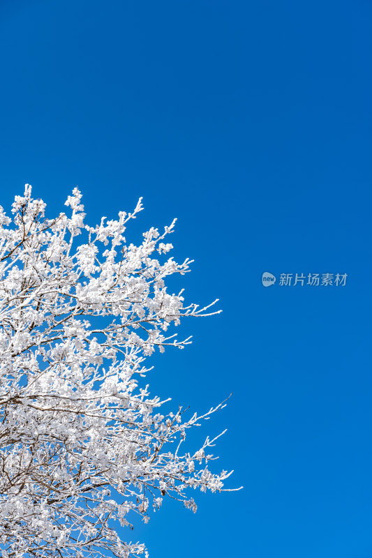 春雪后的泰安泰山风景区自然风光景点景观