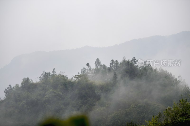 重庆酉阳：暮秋绵雨晨雾浓