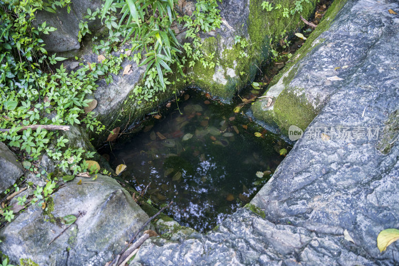 杭州吴山景区青衣洞