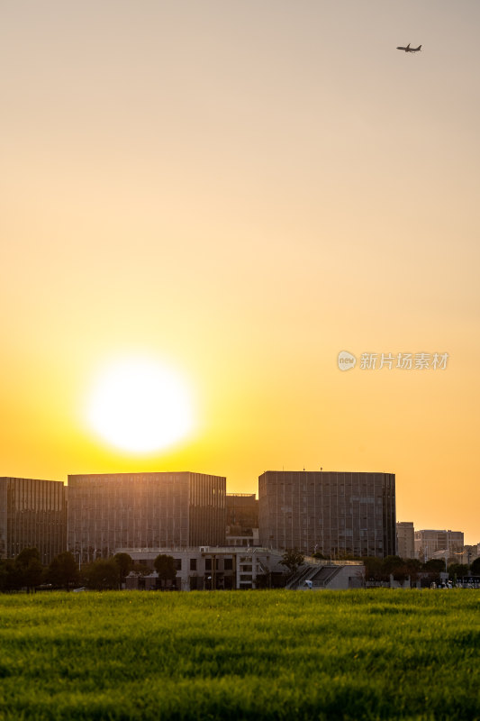 上海闵行文化公园大草坪黄昏日落景观