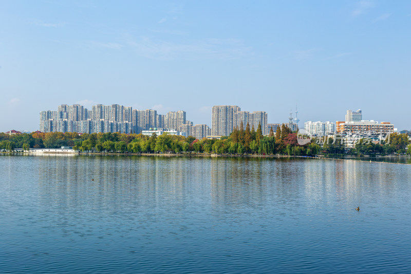 莫愁湖南京城市风光