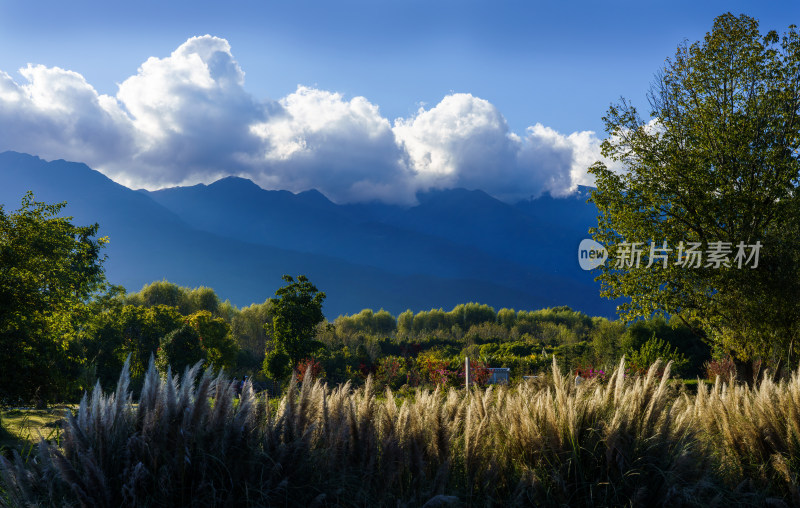 白云大山草木风景