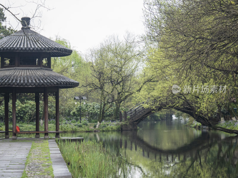 杭州西湖茅家埠江南水乡风景