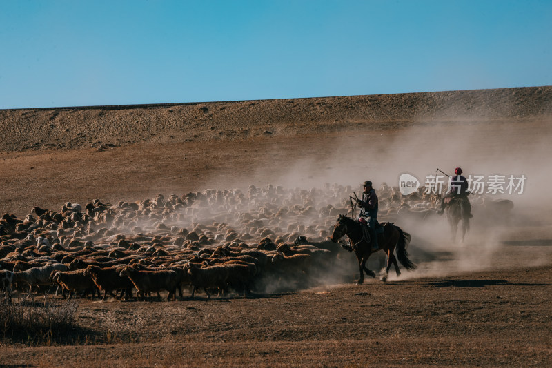 新疆北疆骑马放牧