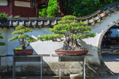 福建省福州西湖公园园林风光