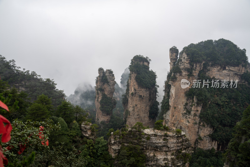 云雾缭绕的张家界奇峰异石景观