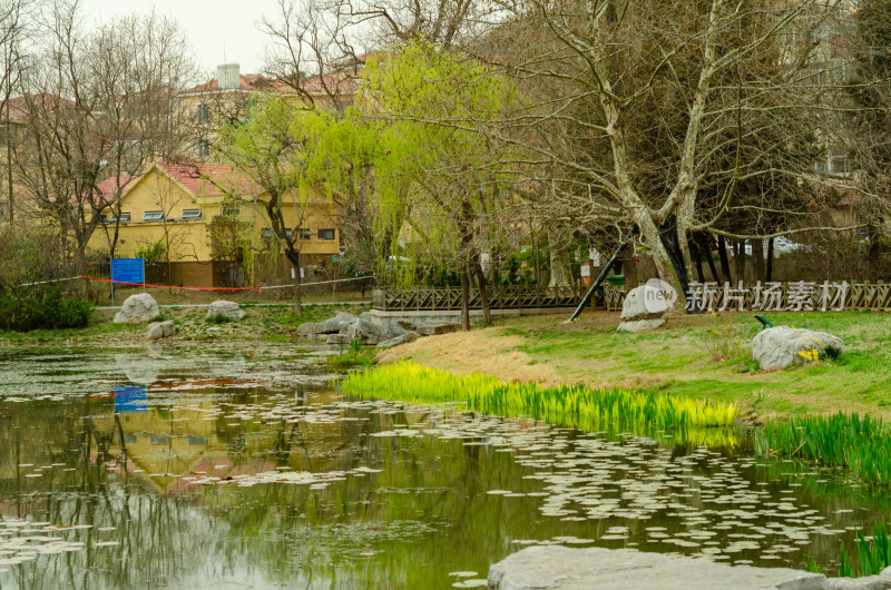 青岛中山公园，清明时节