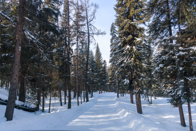 中国新疆喀纳斯冬季雪景冰雪旅游春节旅游