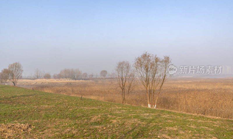 广利河湿地公园冬景