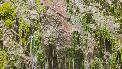 长满青苔的陡峭山崖瀑布