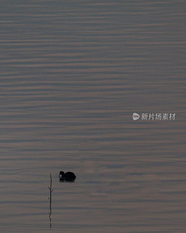 山东济宁邹城孟子湖湖面日落景观