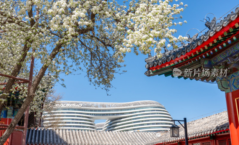 春天花与古建筑 北京