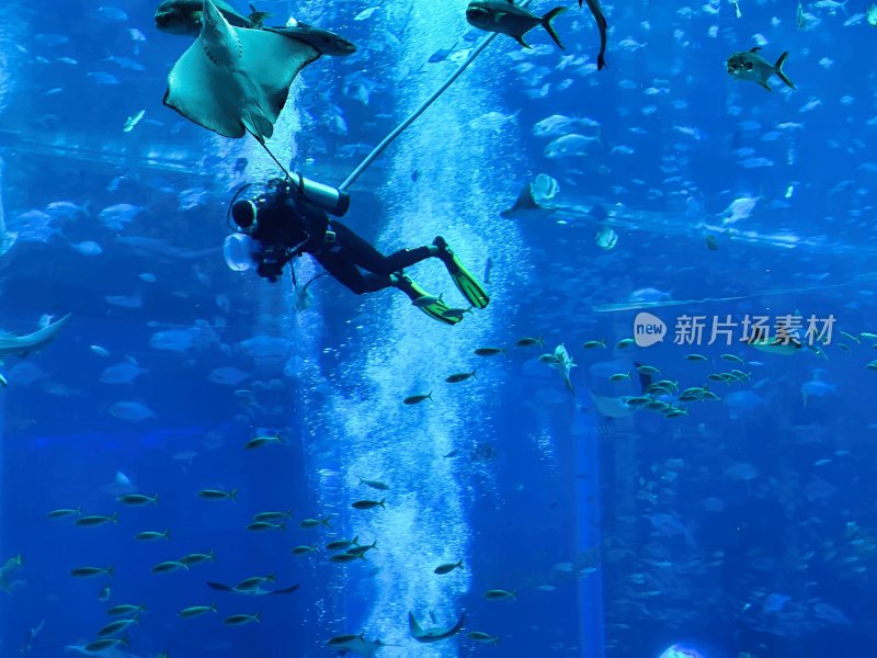 海南省三亚亚特兰蒂斯酒店的水族馆