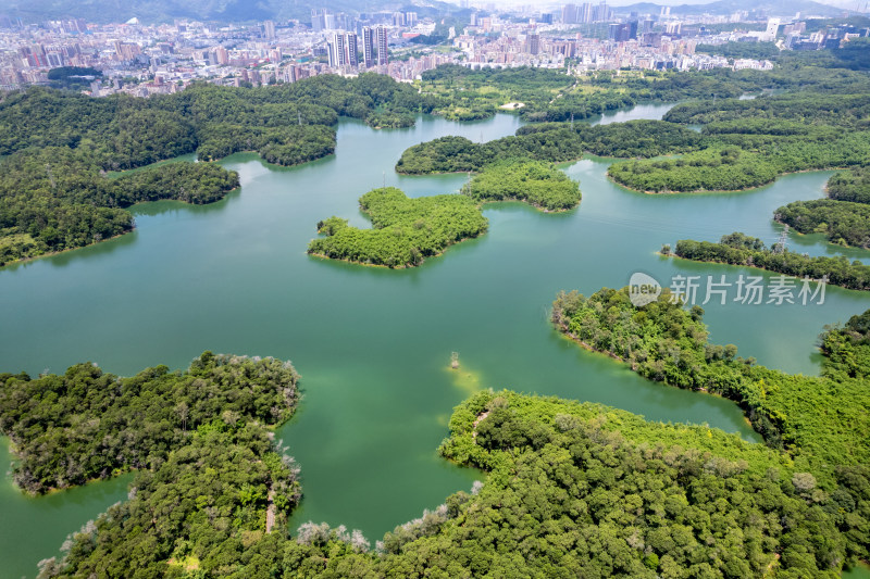 深圳龙华区茜坑水库