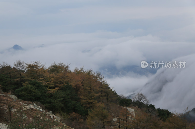 云海 山峰 山峦 山东 泰山