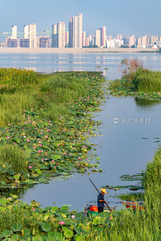 中国邹城孟子湖湖泊湿地渔船自然景观