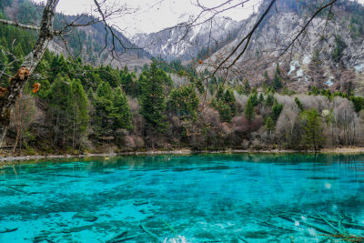 九寨沟的清澈湖水景观