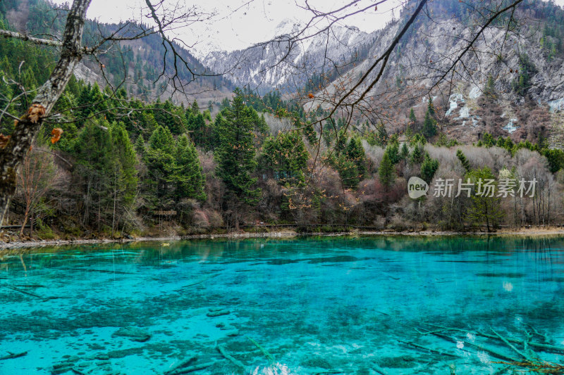 九寨沟的清澈湖水景观