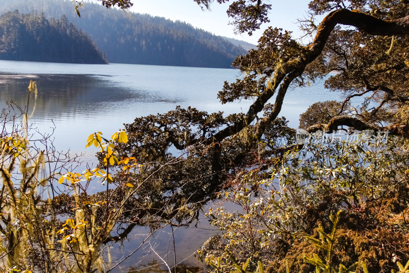 普达措国家公园