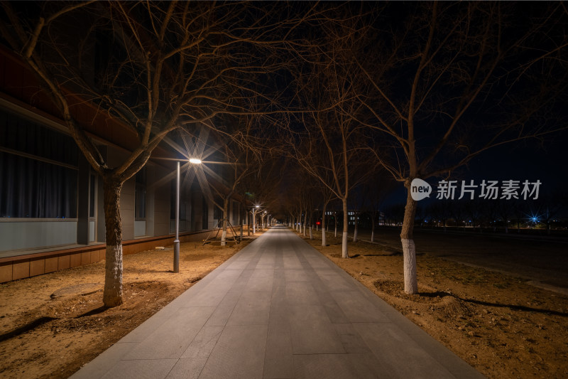 夜晚空旷的林荫步道